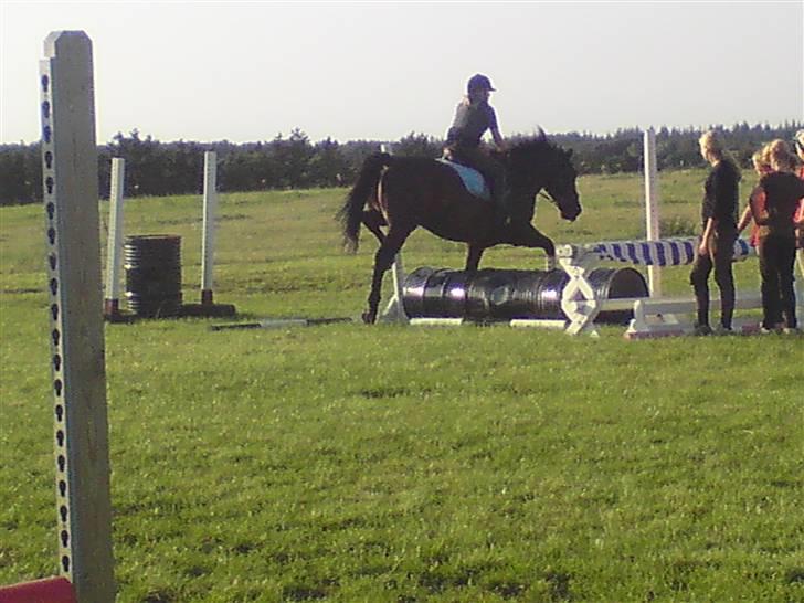 Spring træning på orkk billede 5