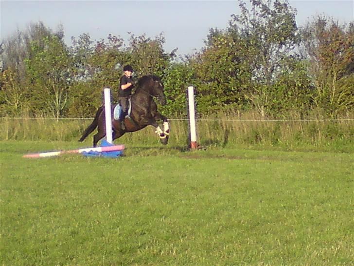 Spring træning på orkk billede 6