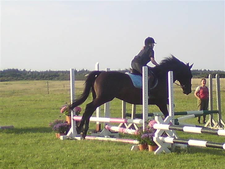 Spring træning på orkk billede 7