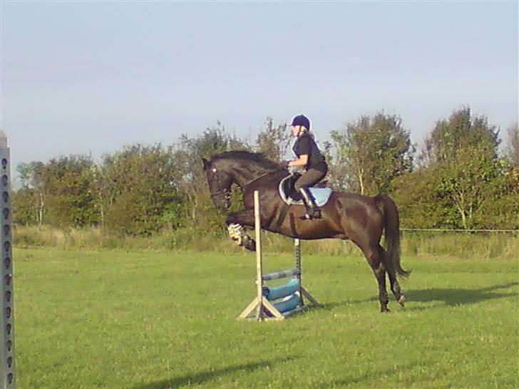 Spring træning på orkk billede 8