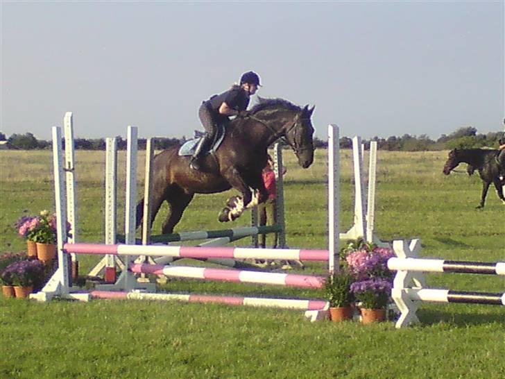 Spring træning på orkk billede 9