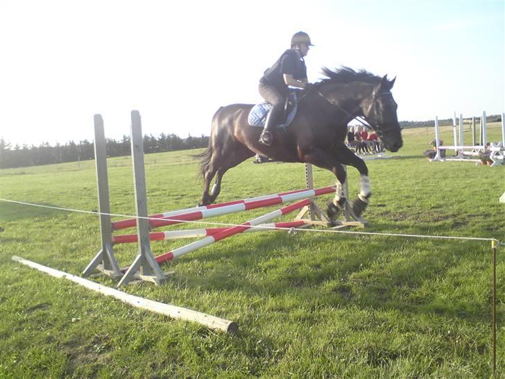 Spring træning på orkk billede 10