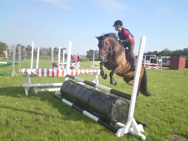 Spring træning på orkk billede 11