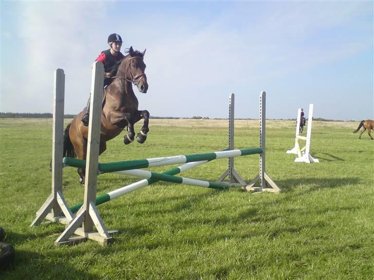 Spring træning på orkk billede 12