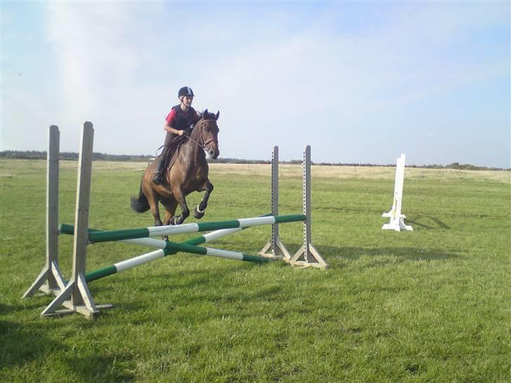 Spring træning på orkk billede 13