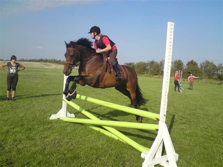 Spring træning på orkk billede 14