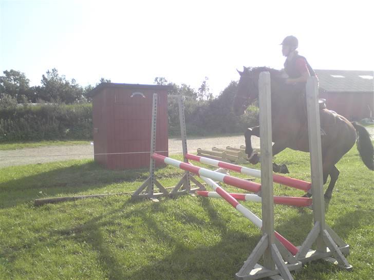 Spring træning på orkk billede 15