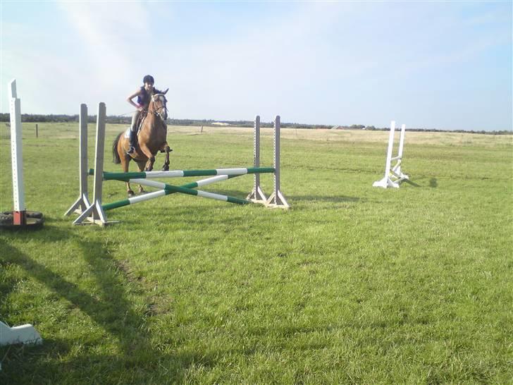 Spring træning på orkk billede 16