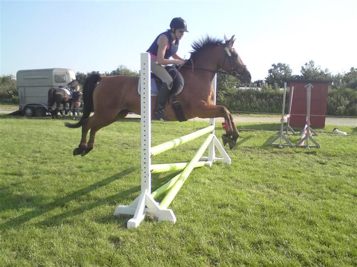 Spring træning på orkk billede 17