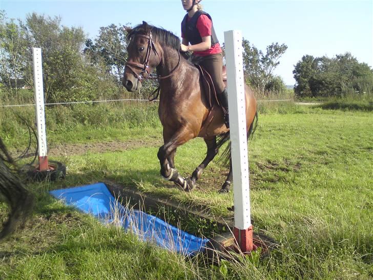 Spring træning på orkk billede 18