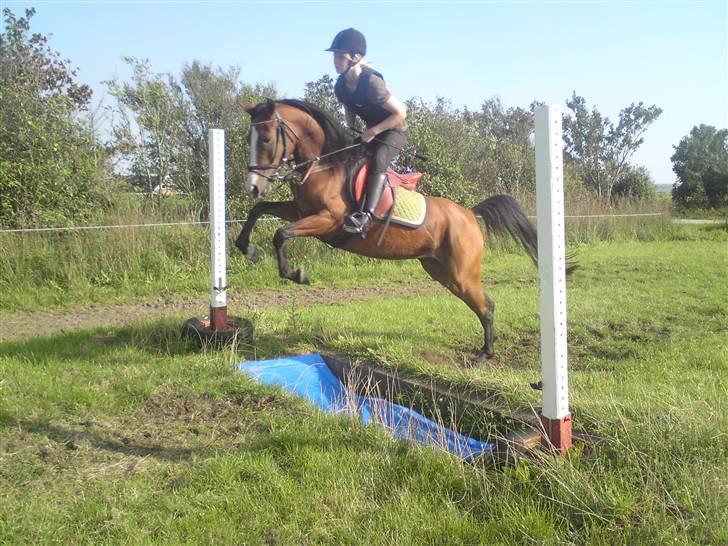 Spring træning på orkk billede 19