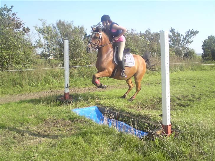 Spring træning på orkk billede 20