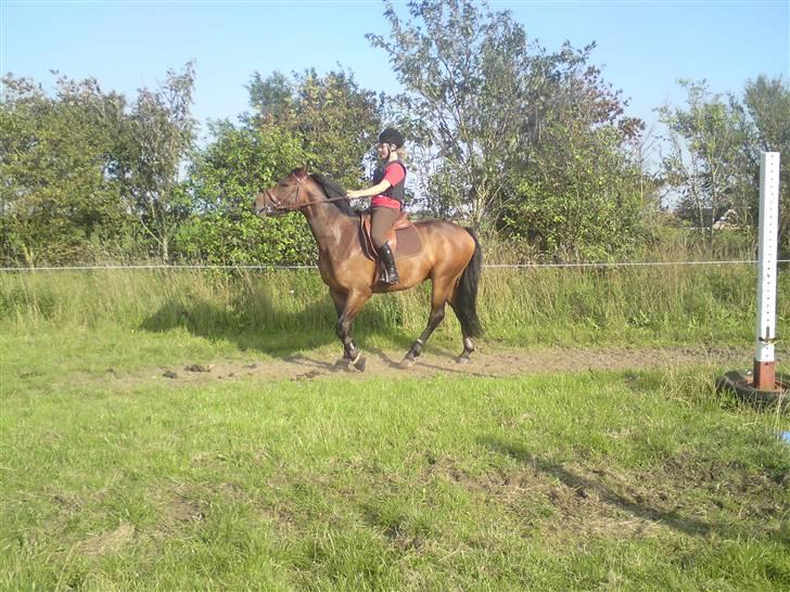 Spring træning på orkk billede 21