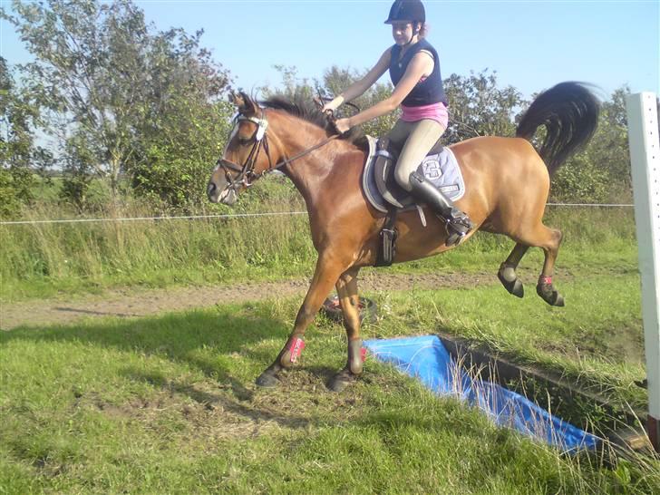 Spring træning på orkk billede 22