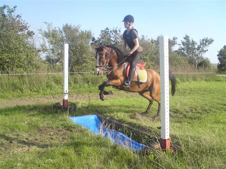 Spring træning på orkk billede 23