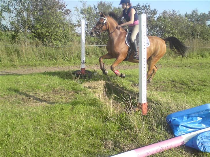 Spring træning på orkk billede 24