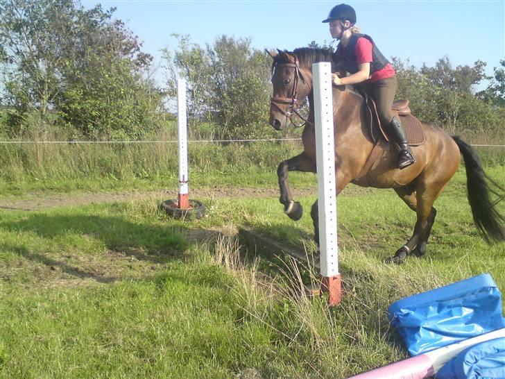 Spring træning på orkk billede 25