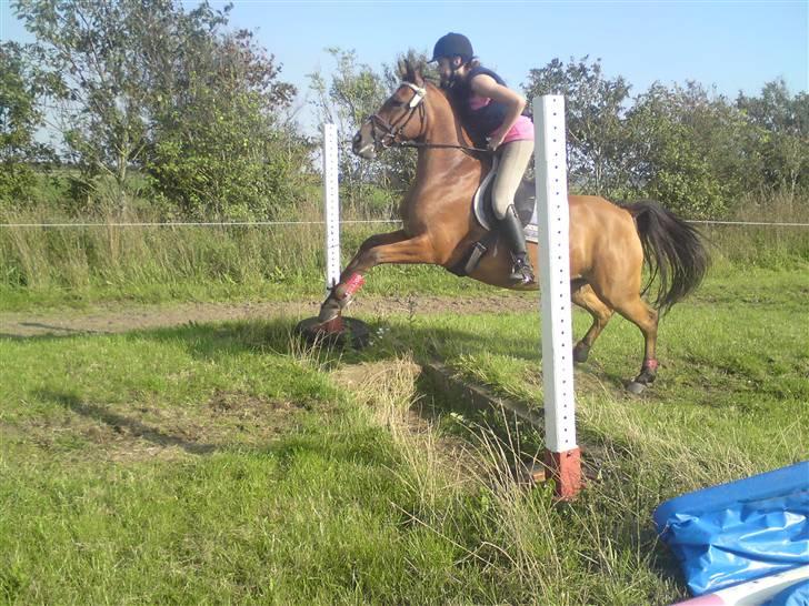Spring træning på orkk billede 26