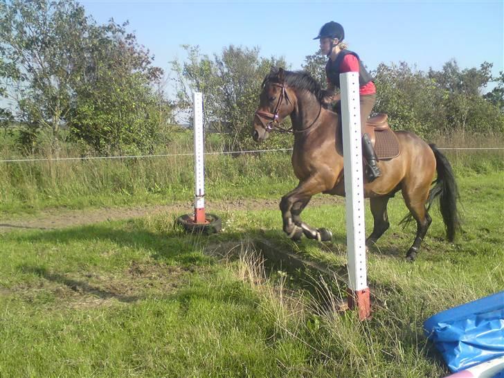 Spring træning på orkk billede 27