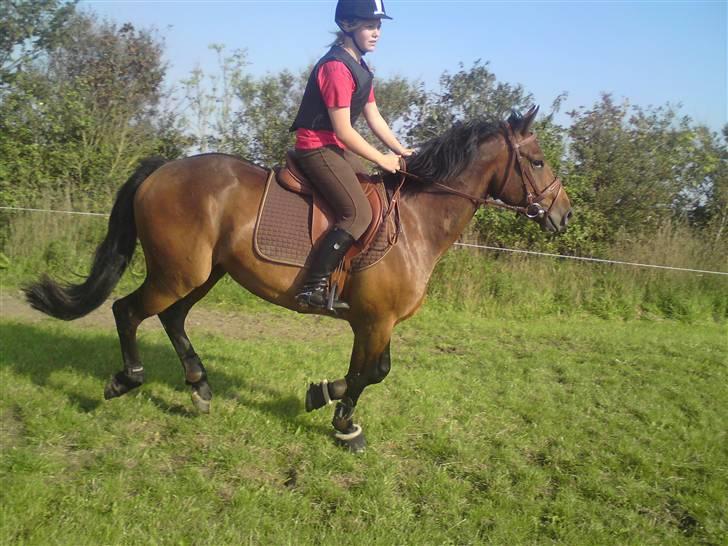 Spring træning på orkk billede 28