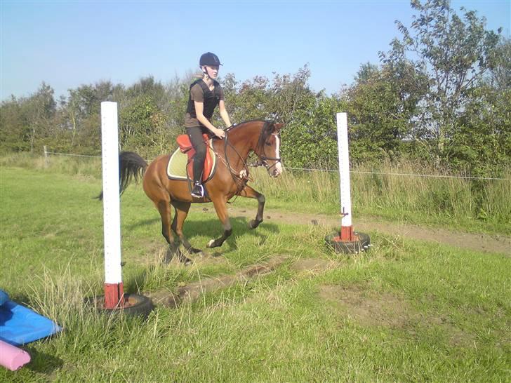 Spring træning på orkk billede 29