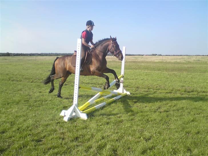 Spring træning på orkk billede 30