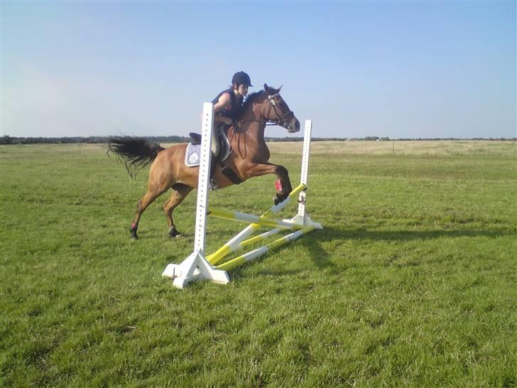 Spring træning på orkk billede 31