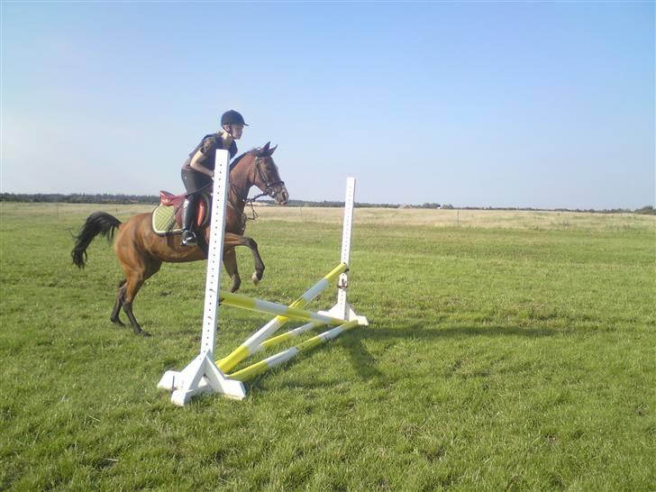 Spring træning på orkk billede 32