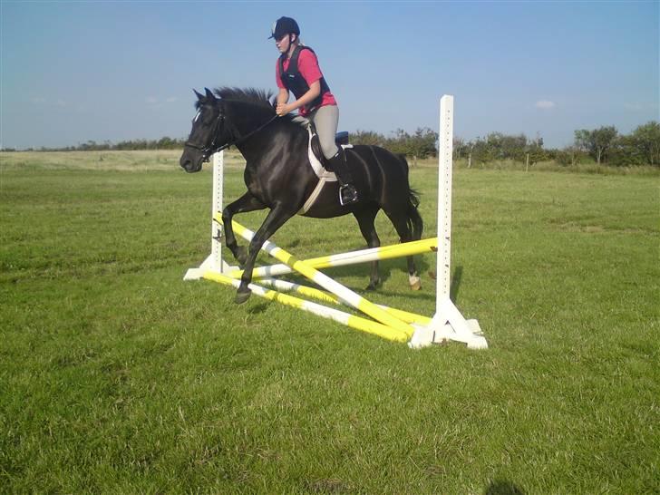 Spring træning på orkk billede 33