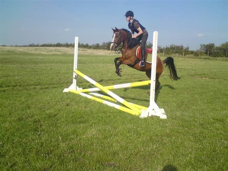 Spring træning på orkk billede 34