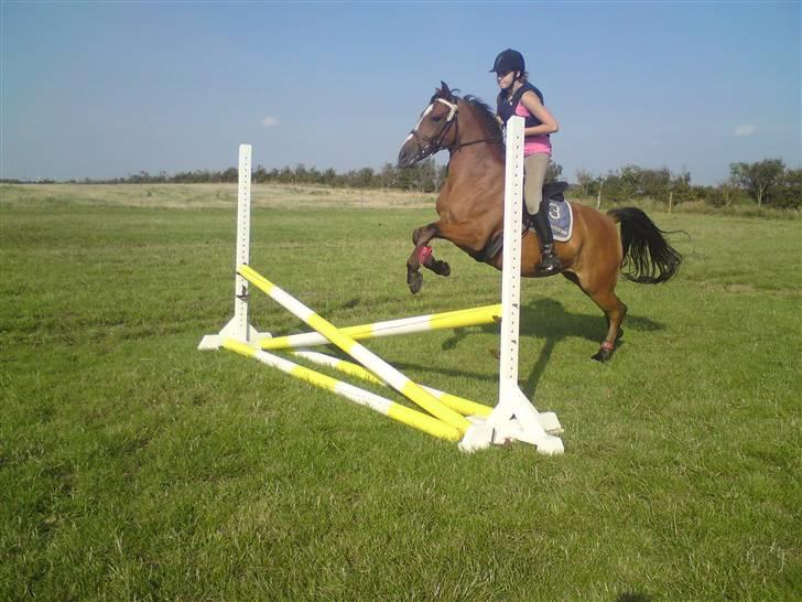 Spring træning på orkk billede 35