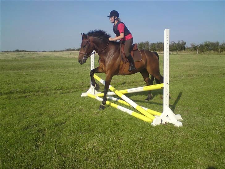 Spring træning på orkk billede 36