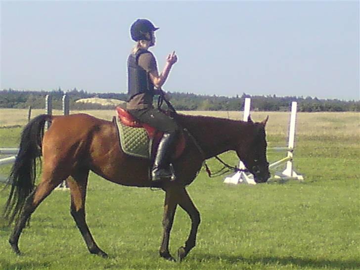 Spring træning på orkk billede 38