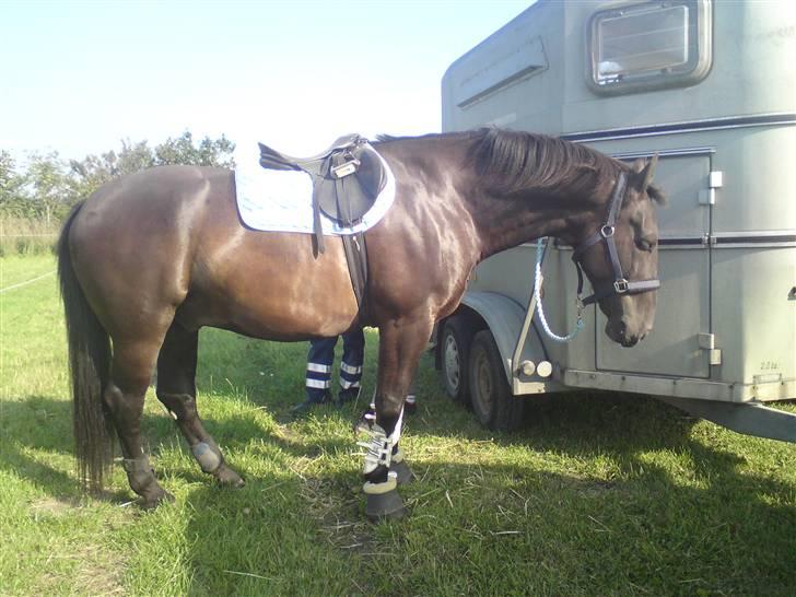 Spring træning på orkk billede 39