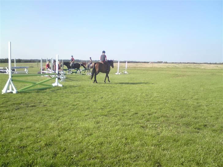 Spring træning på orkk billede 40