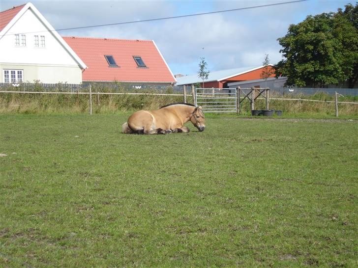 RE<3 Ranum efterskole<3 09/10 billede 17