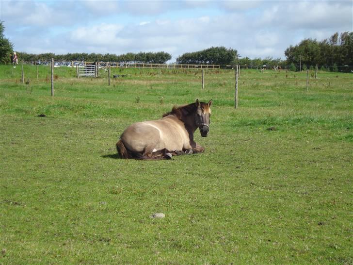 RE<3 Ranum efterskole<3 09/10 billede 18