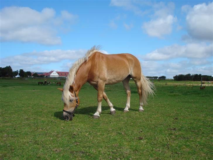 RE<3 Ranum efterskole<3 09/10 billede 21