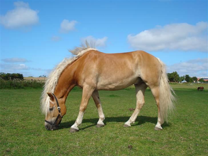 RE<3 Ranum efterskole<3 09/10 billede 24