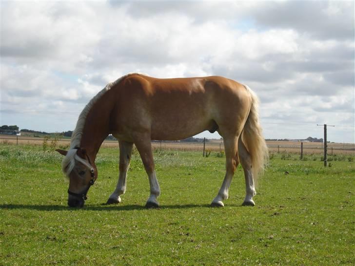 RE<3 Ranum efterskole<3 09/10 billede 26