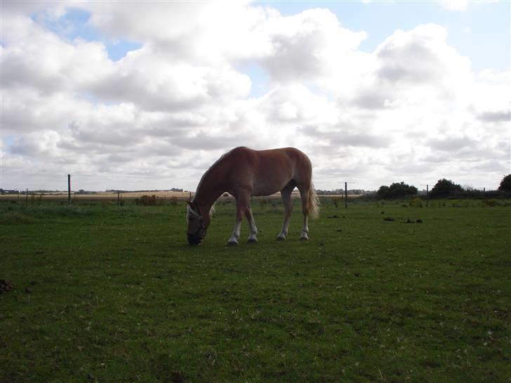 RE<3 Ranum efterskole<3 09/10 billede 30