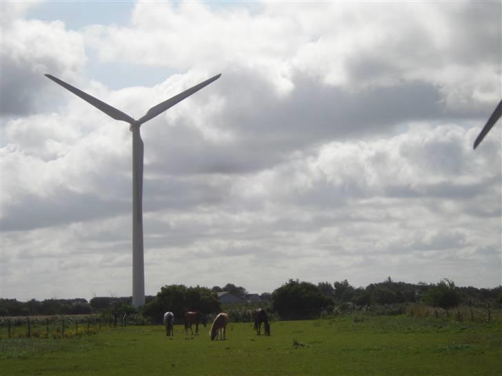 RE<3 Ranum efterskole<3 09/10 billede 32