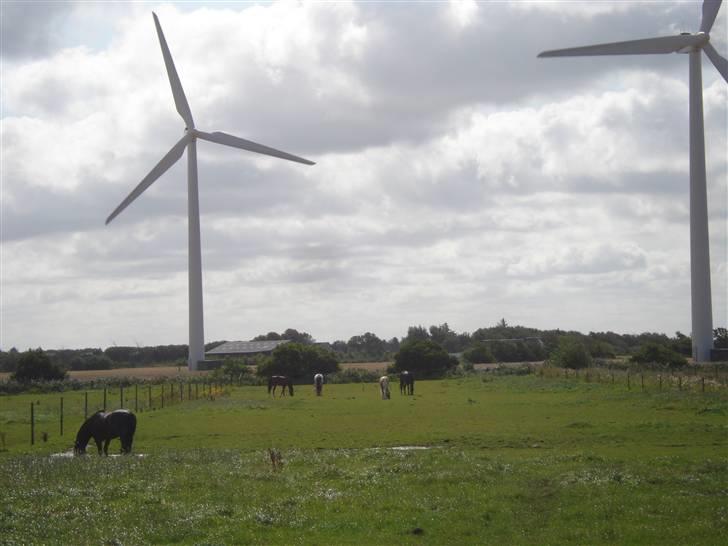 RE<3 Ranum efterskole<3 09/10 - Basse på fold med sine nye venner<3 billede 33