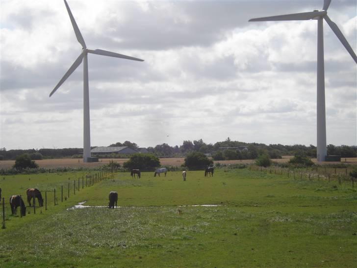 RE<3 Ranum efterskole<3 09/10 - Basse på fold med sine nye venner<3 billede 34