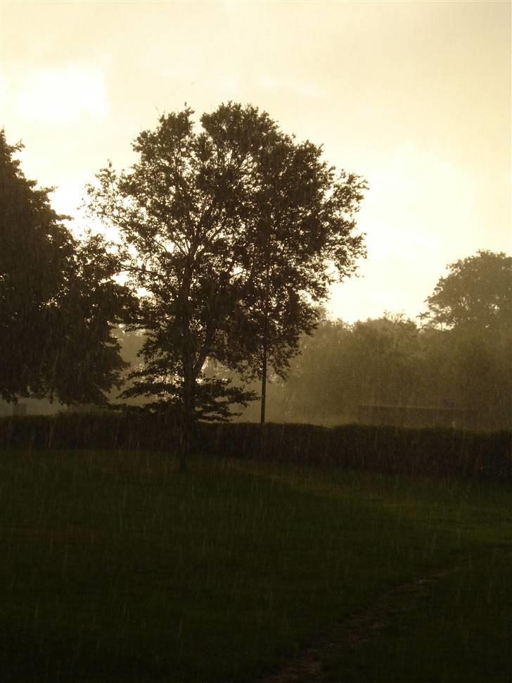 RE<3 Ranum efterskole<3 09/10 - En morgen vi skulle ud og løbe morgen tur 
skønt med "lidt" regn! billede 48