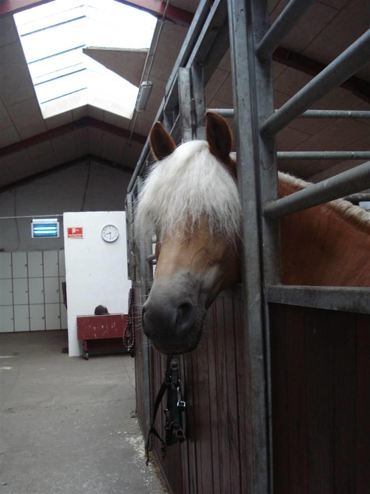 RE<3 Ranum efterskole<3 09/10 - Madsinie<3 billede 69