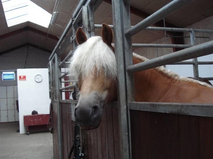 RE<3 Ranum efterskole<3 09/10 - Madsinie<3 billede 70