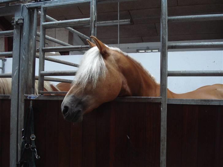 RE<3 Ranum efterskole<3 09/10 - Madsinie<3 billede 71