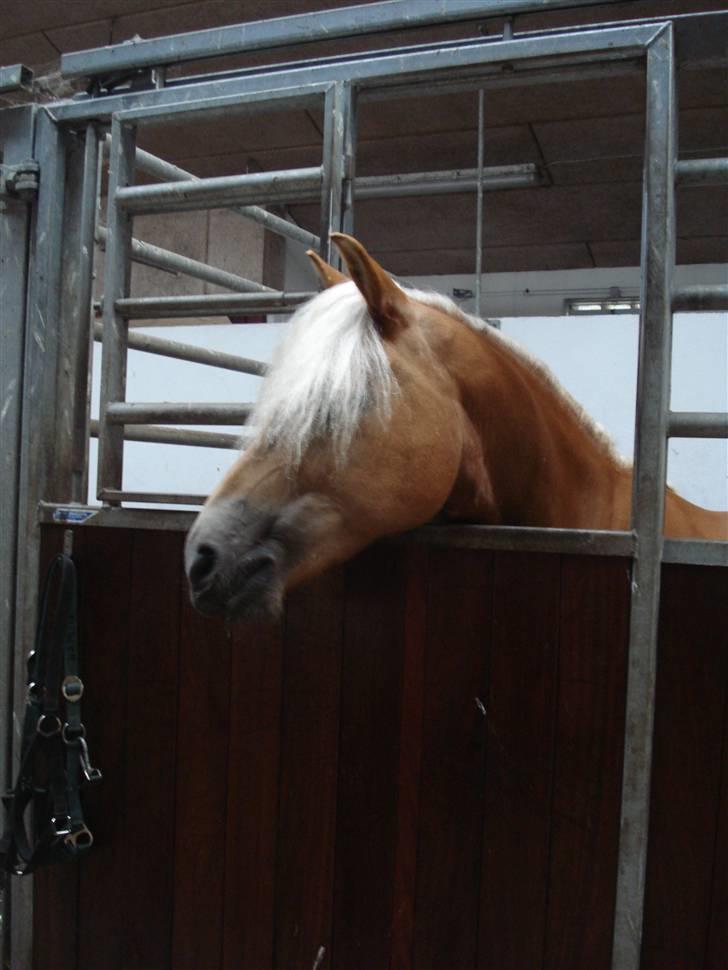 RE<3 Ranum efterskole<3 09/10 - Madsinie<3 billede 72