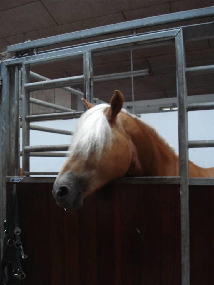 RE<3 Ranum efterskole<3 09/10 - Madsinie<3 billede 73